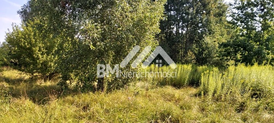 Działka budowlana Czarny Las