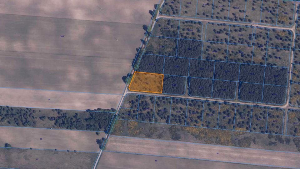 Zdjęcie 2