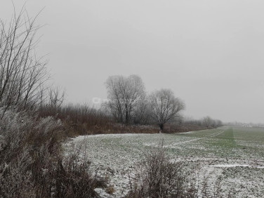 Działka inwestycyjna Nowy Modlin