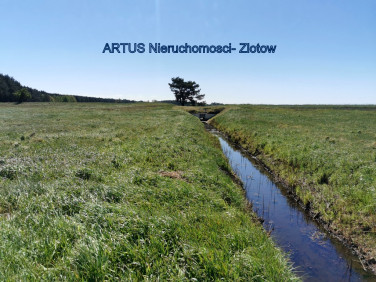 Działka rolna Święta