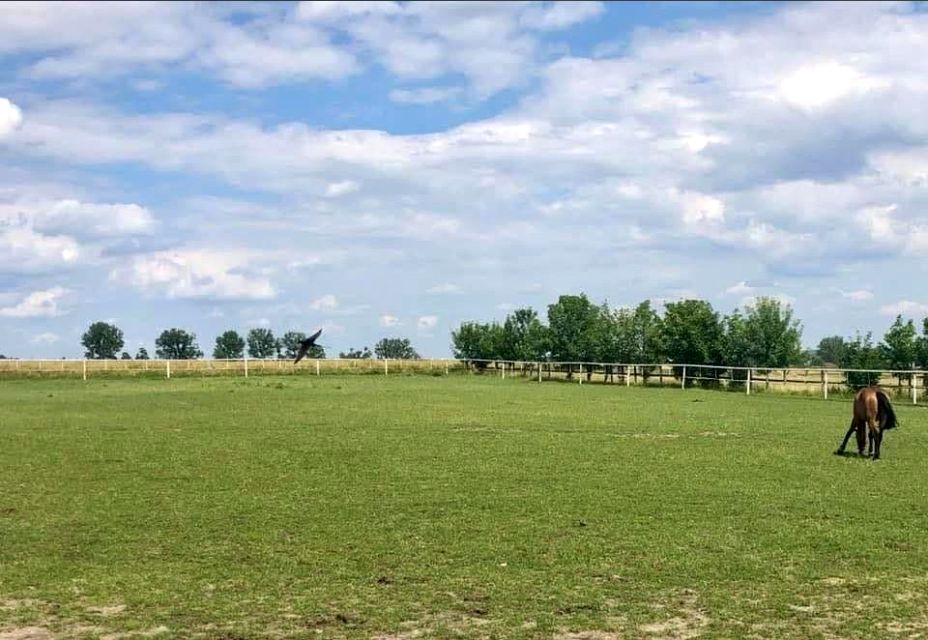 Budynek użytkowy Poznań