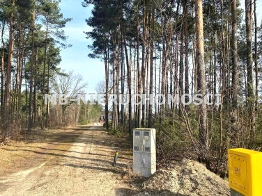 Działka Zakręt