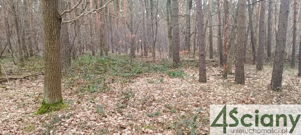 Działka budowlana Sękocin-Las