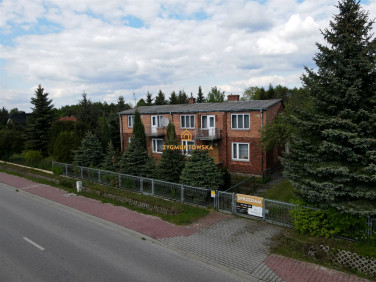 Dom Petrykozy