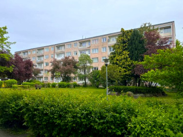 Mieszkanie Kołobrzeg