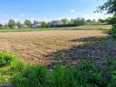 Działka Giebułtów