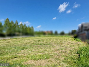 Działka budowlana Tomaszowice