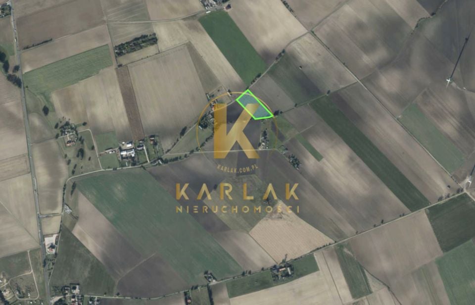 Zdjęcie 3