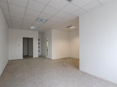 Lokal Koszalin