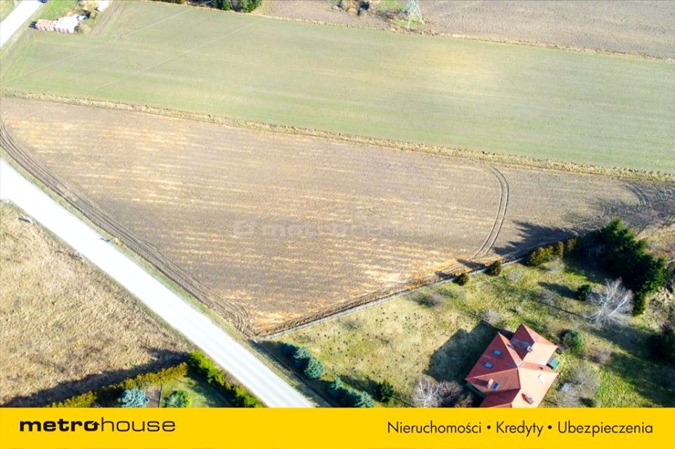 Zdjęcie 3