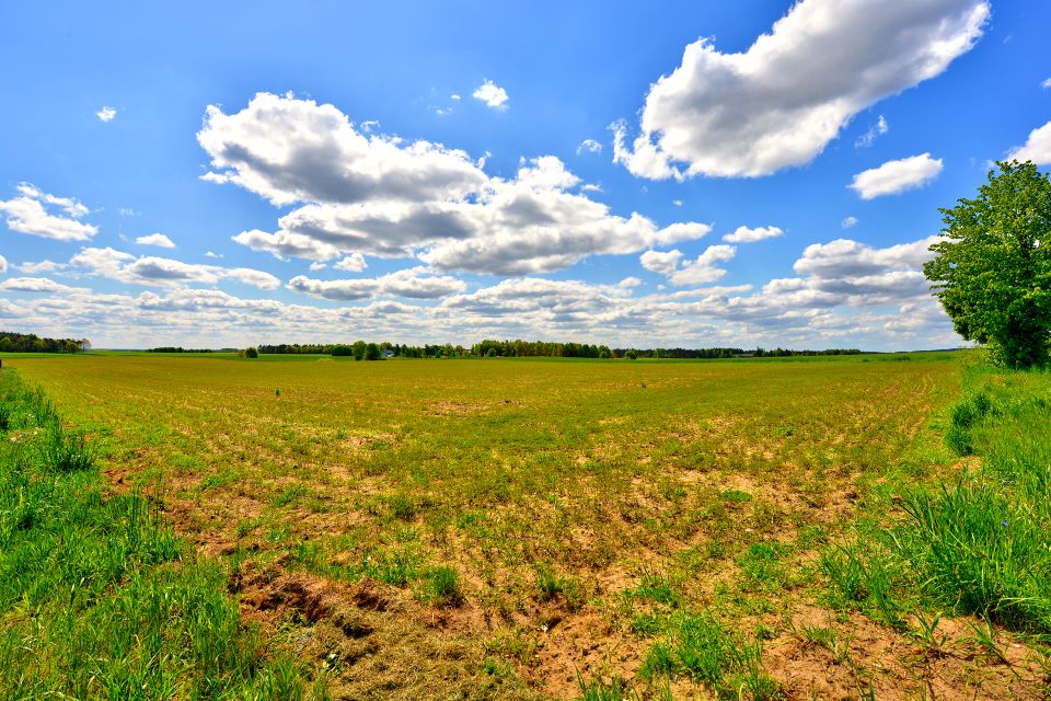 Działka Karsin