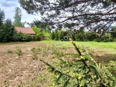 Działka budowlana Kanie sprzedam