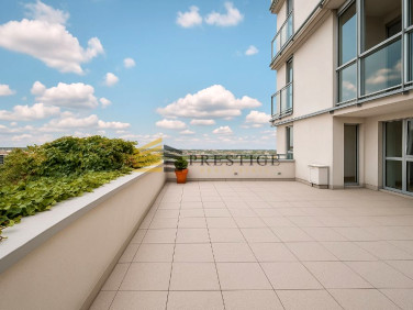 Mieszkanie apartamentowiec wynajem