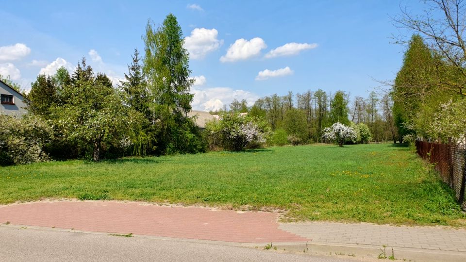 Działka siedliskowa Hołowienki