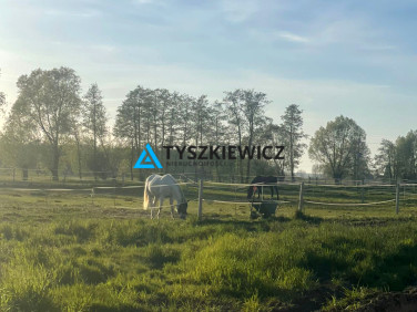 Działka siedliskowa Przemysław
