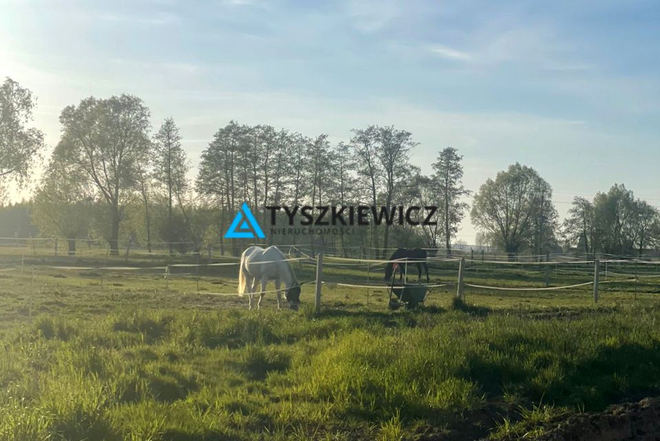 Działka siedliskowa Przemysław
