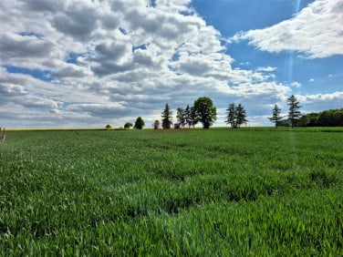 Pusta działka Gliwice