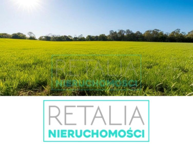 Ogrodzona działka Rusiec