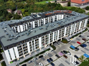 Lokal Kraków
