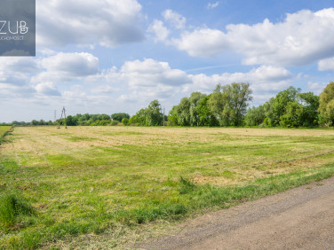 Działka Poznań