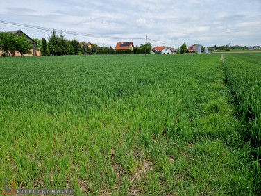 Działka Sieciechowice