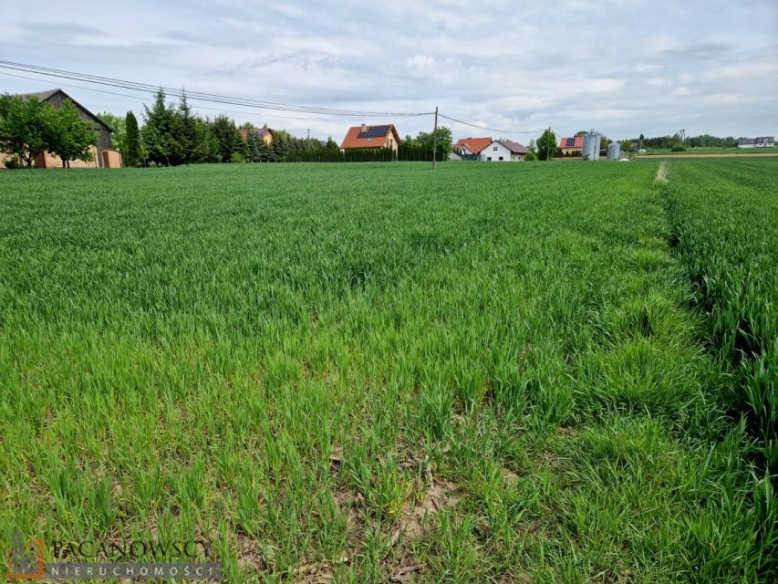 Działka Sieciechowice