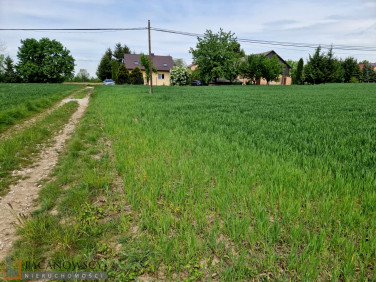 Działka Sieciechowice