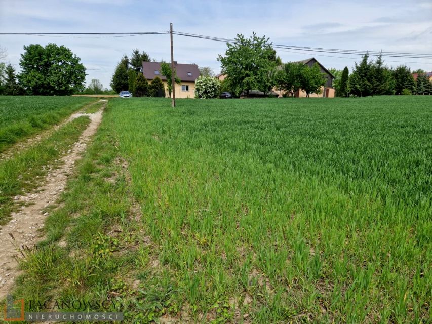 Działka Sieciechowice