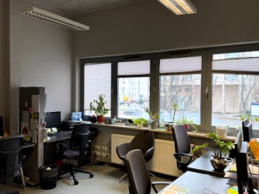 Lokal Warszawa