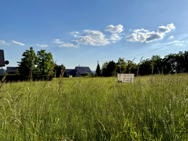 Działka SIEDLEC