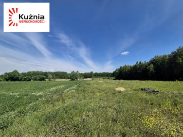 Działka budowlana Przyborowice Górne