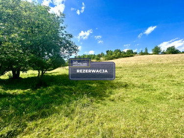Działka Dziwiszów