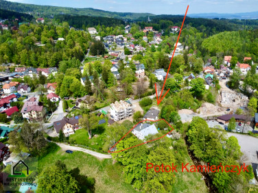 Mieszkanie przy lesie