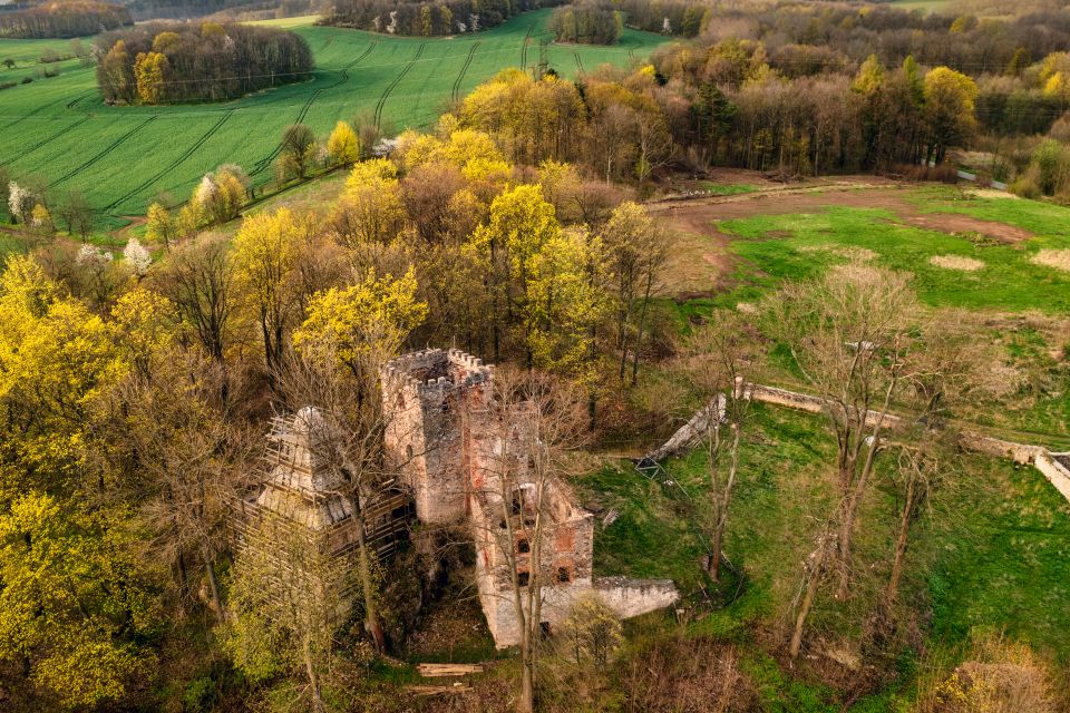 Działka Lipa