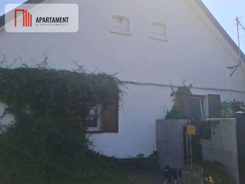 Zdjęcie 3