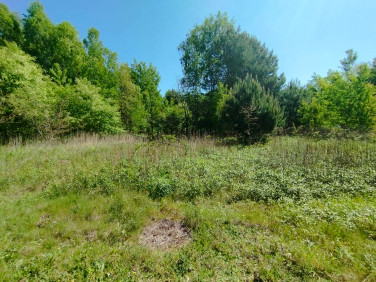 Działka Jodłówka-Wałki