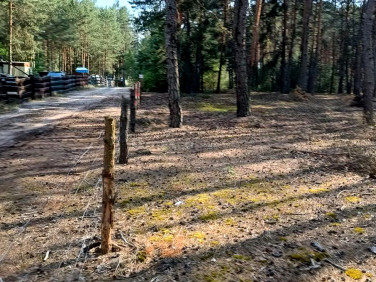 Działka rekreacyjna Karolinów