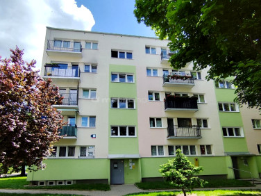 Mieszkanie Łódź