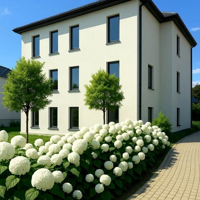 Lokal Rybnik wynajem