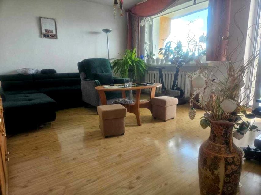 Mieszkanie Zielona Góra