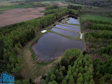 Dom Bytów