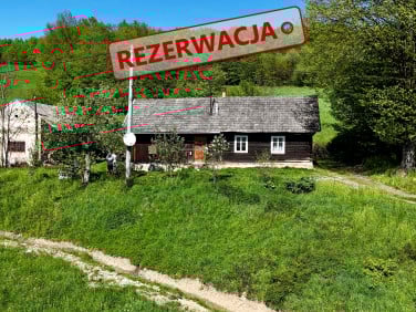 Dom wolnostojący sprzedaż