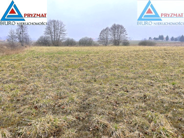 Działka Gady
