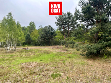 Działka budowlana Basinów sprzedam