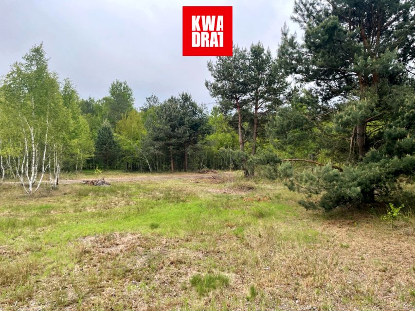Działka budowlana Basinów sprzedam