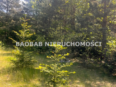 Działka Stawinoga