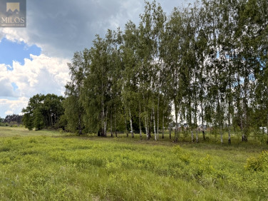 Działka budowlana Olszewnica Nowa