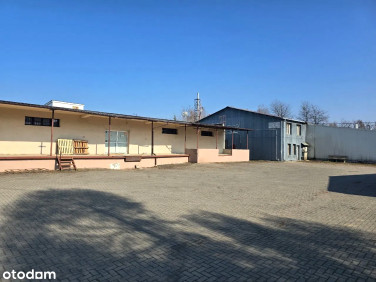 Lokal Lublin