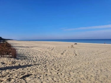 Działka rekreacyjna Ostrowo
