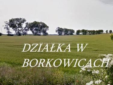 Działka Borkowice